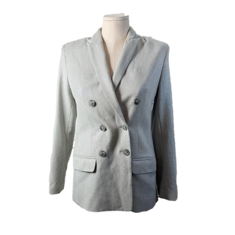 Express Metallic Gray Double Breasted Blazer XS Chic Office Career Classic